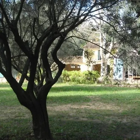 Tatil Evi House Exceptionnel 1 *